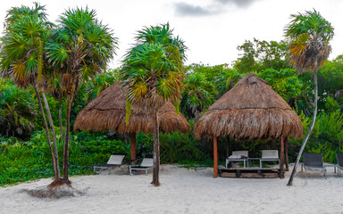 Palms parasols sun loungers beach resort Playa del Carmen Mexico.