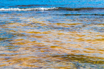 Turquoise green blue water with stones rocks corals beach Mexico.