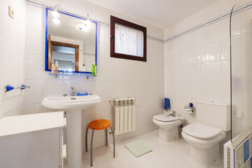 Bathroom with white toilets and furniture, mirror with blue frame and aluminum radiator under the window