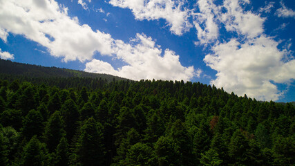 Aerial view of Gölcük Lake in Bolu,Turkey.