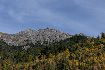 Rauhorn von Hinterstein