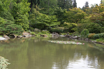 Fototapeta na wymiar Japanese garden park in Seattle.