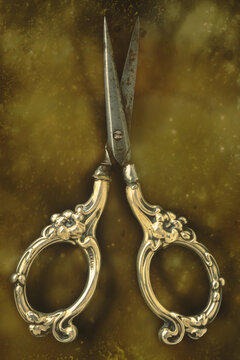 Close-Up of Antique Scissors