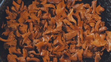 Chanterelles mushrooms are fried in a pan.