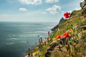 The coast of Crimea.