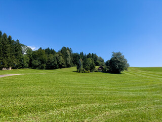 A beautifully green meadow with a hunter's house.
