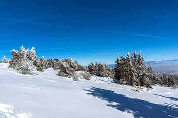 Winter landscape of Vitosha Mountain, Bulgaria