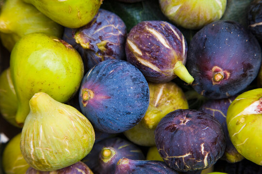 Close-up of Figs