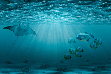 underwater scene with fish