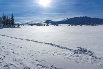 Winter landscape of Vitosha Mountain, Bulgaria
