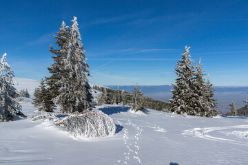 Winter landscape of Vitosha Mountain, Bulgaria