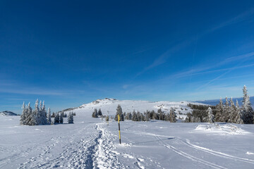 Obraz premium Winter landscape of Vitosha Mountain, Bulgaria