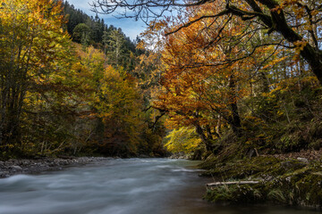 Obraz premium Ostrach im Herbst