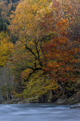 Obraz premium Ostrach im Herbst