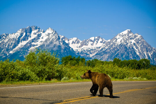 Grand Teton Mountains, Wyoming, USA