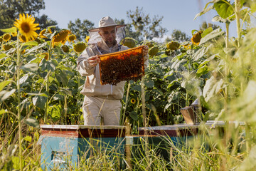 Portrait of delighted farmer in bee suit holding full frame with bees and honeycomb standing in...