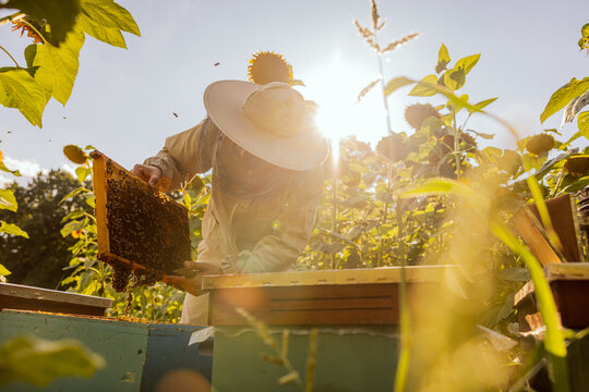 Beekeeper - Free people icons