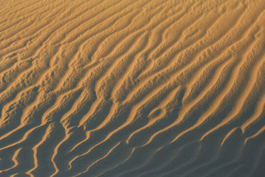 Close-Up of Ripples in Sand Dune, Maspalomas, Playa del Ingles, Gran Canaria, Spain