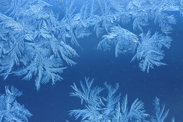 Close-up of Frost