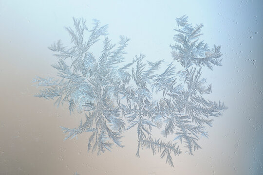Close-up of Frost