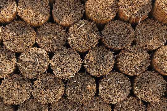 Drying Reed, Burgenland, Austria