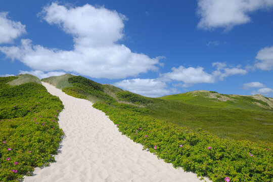 Sylt, North Frisian Islands, Nordfriesland, Schleswig-Holstein, Germany
