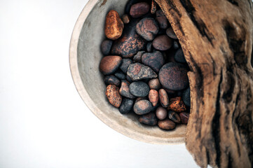Earth Elements still life photography. Organic objects from nature photographed in natural light on stone. 