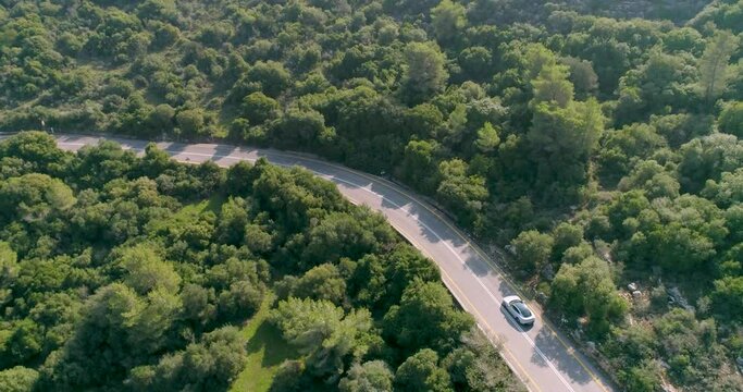 Aerial view of a sport car driving in a woodland, Carmel Forest, Haifa, Israel
