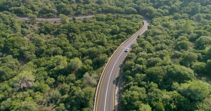 Aerial view of a sport car driving in a woodland, Carmel Forest, Haifa, Israel