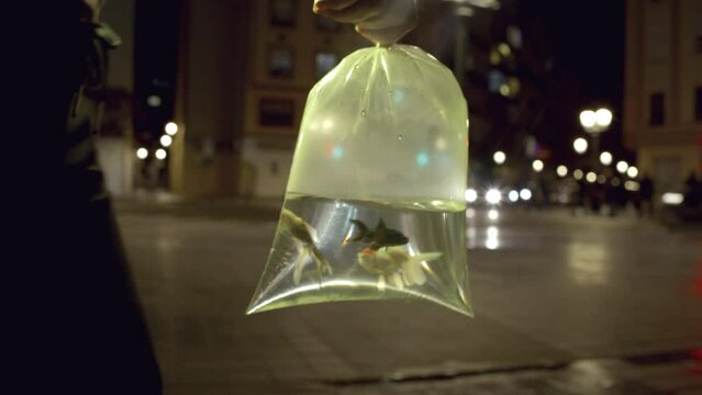 Handheld shot of bag with goldfish in the evening