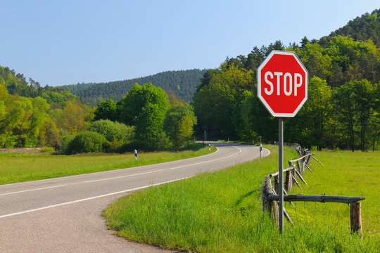 Stop Sign on Road, Pfalzerwald, Rhineland-Palatinate, Germany