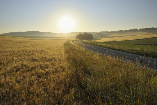 Country Road and Wheat Fields, Hettstadt, Wurzburg District, Franconia, Bavaria, Germany