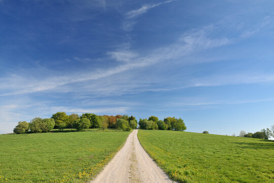 Dirt Road, Usseln, Willingen, Waldeck-Frankenberg, Hesse, Germany