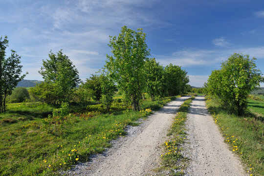 Dirt Road, Usseln, Willingen, Waldeck-Frankenberg, Hesse, Germany