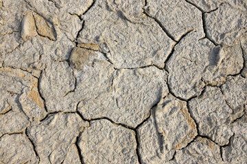 Cracked Soil, Nanortalik, Kujalleq, Kejser Franz Joseph Fjord, Greenland