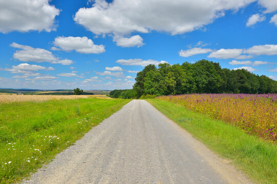 Country Road and Fields, Arnstein, Main-Spessart, Franconia, Bavaria, Germany
