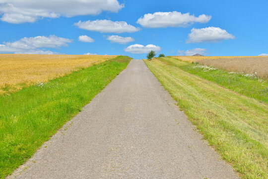 Country Road and Fields, Arnstein, Main-Spessart, Franconia, Bavaria, Germany