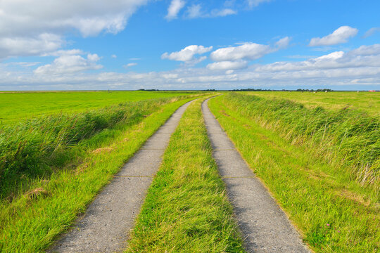 Path through Fields in the Summer, Toenning, Kating, Schleswig-Holstein, Germany