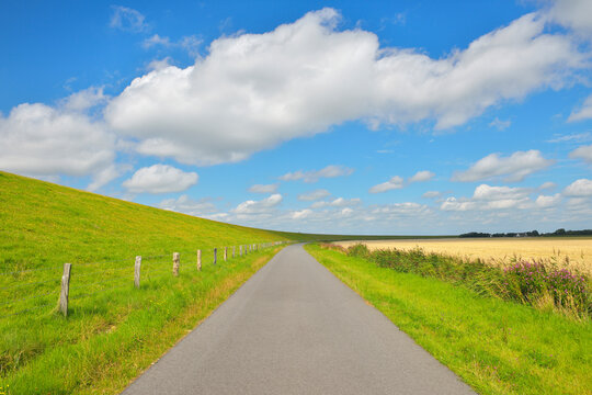 Road with North Sea Dike, Simonsberg, Schleswig-Holstein, Germany