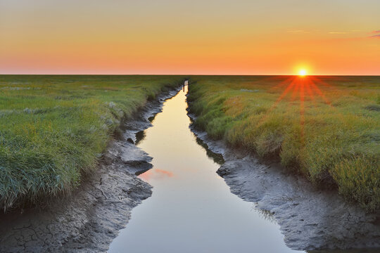 Tide Way, Westerheversand at Sunset in the Summer, Westerhever, Tating, Schleswig-Holstein, Germany