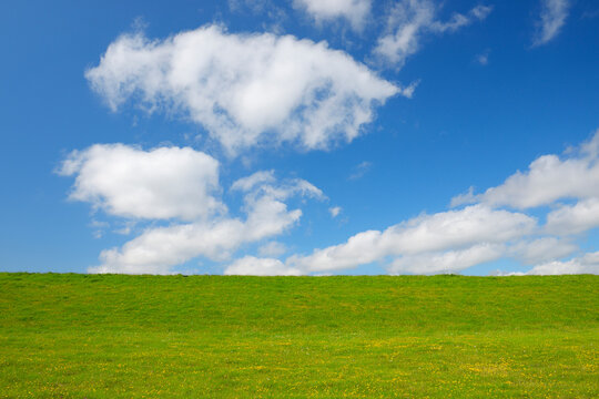 Meadow in the Summer, Simonsberg, Schleswig-Holstein, Germany