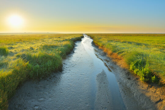 Tide Way, Westerheversand at Sunrise in the Summer, Westerhever,  Tating, Schleswig-Holstein, Germany