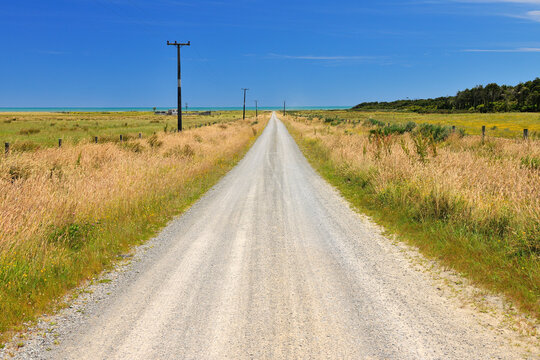 Gravel Road in Summer, Burke Road, Barrytown, West Coast, South Island, New Zealand