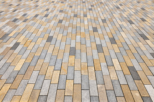 Concrete Stone Floor, Picton, Marlborough, South Island, New Zealand