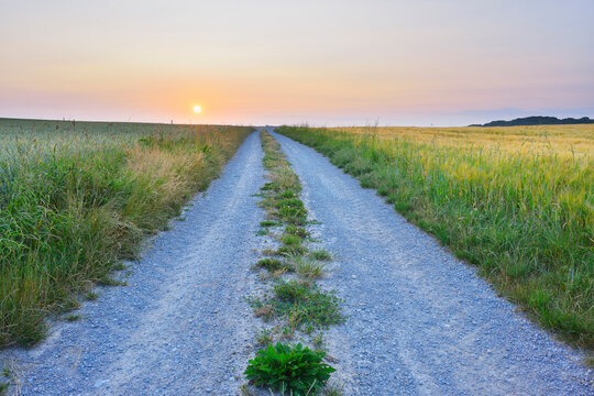 Field Path at Sunrise in Summer, Arnstein, Franconia, Bavaria, Germany