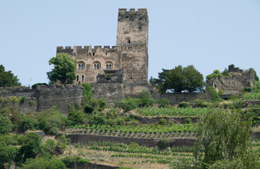 Fototapeta na wymiar Burg Gutenfels in Kaub am Oberen Mittlrhein