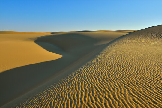 Sand Dunes, Matruh Governorate, Libyan Desert, Sahara Desert, Egypt, Africa