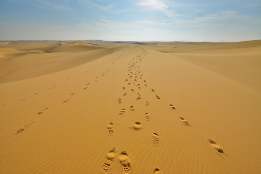 Footprints on Sand Dune, Matruh Governorate, Libyan Desert, Sahara Desert, Egypt, Africa