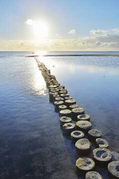 Wooden Breakwater with Sun, Prerow, Darss, Fischland-Darss-Zingst, Baltic Sea, Western Pomerania, Germany