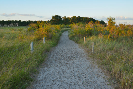 Costal Beach Path, Darsser Ort, West Beach, Prerow, Darss, Fischland-Darss-Zingst, Baltic Sea, Western Pomerania, Germany